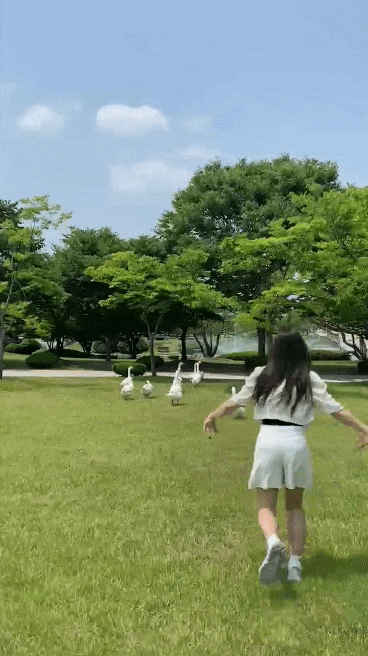  [대전여행코스] 과연 노잼 도시인가????? 파헤쳐보자‼ /여름여행