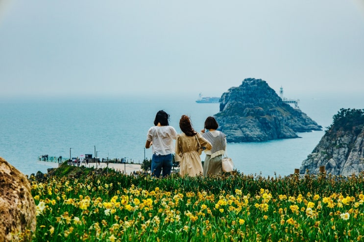 부산 가볼만한곳 오륙도 스카이워크 해맞이공원, 이기대 해안산책로 부산 가볼만한곳 오륙도 스카이워크 해맞이공원, 이기대 해안산책로