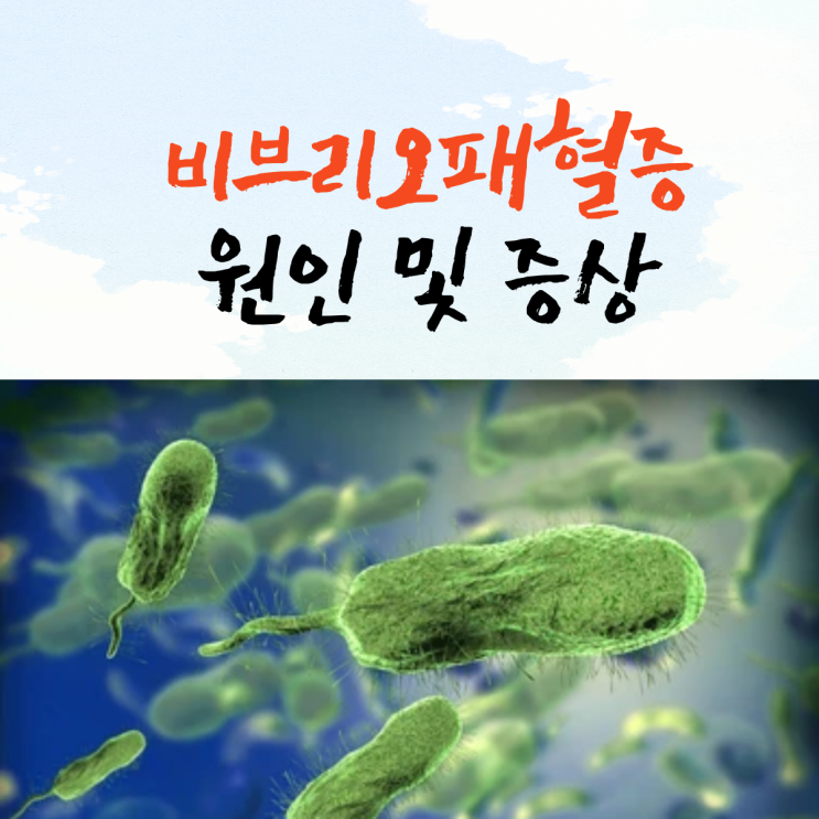  비브리오 패혈증 원인 및 증상