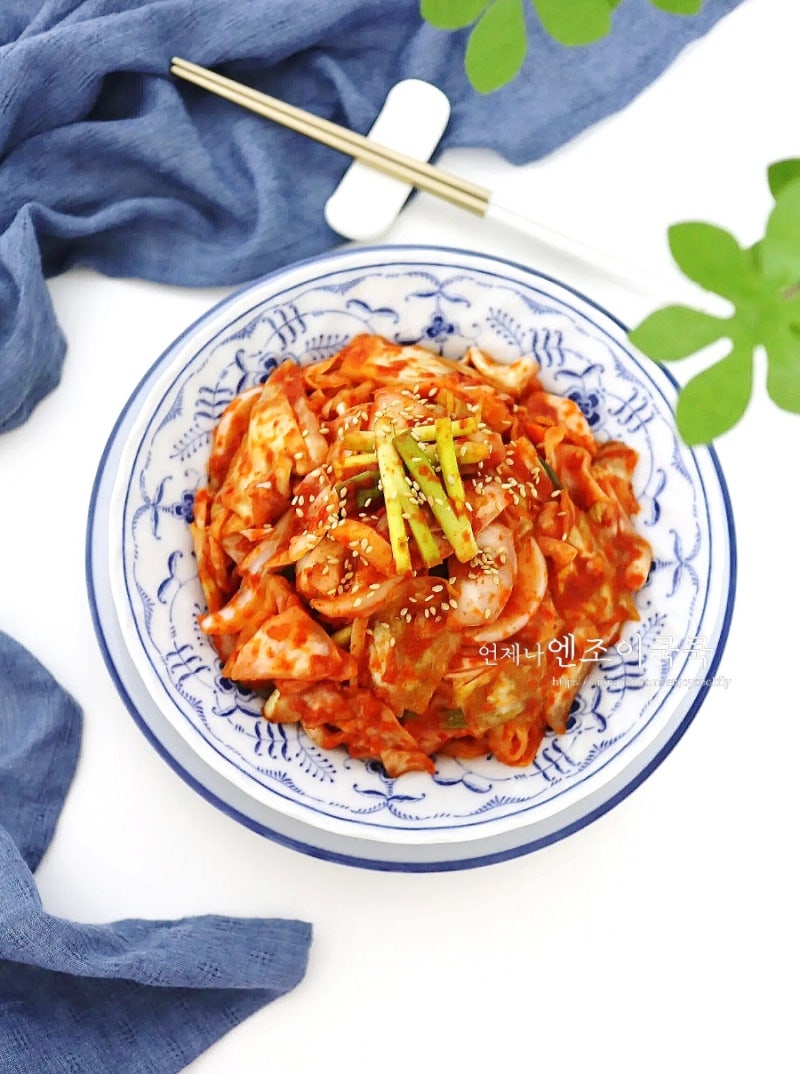 양배추김치담그는법 쓴맛없이 알토란 맛김치 막김치 스타일 양배추겉절이무침(씻는법 보관....