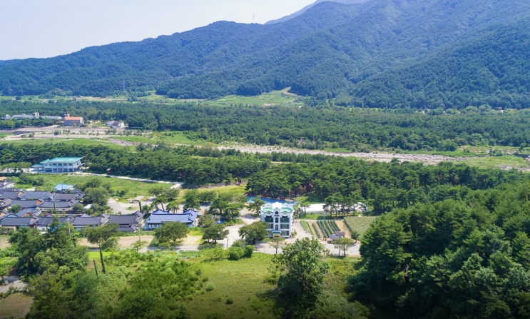  [설악산] 꿈설악펜션 / 설악산 국립공원 10분거리 / 사장님 최고!