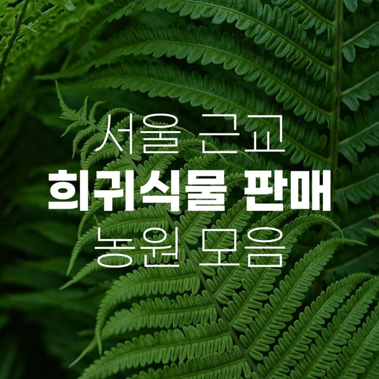  서울근교 희귀식물을 파는곳 만날 수 있는 농장 농원 모음