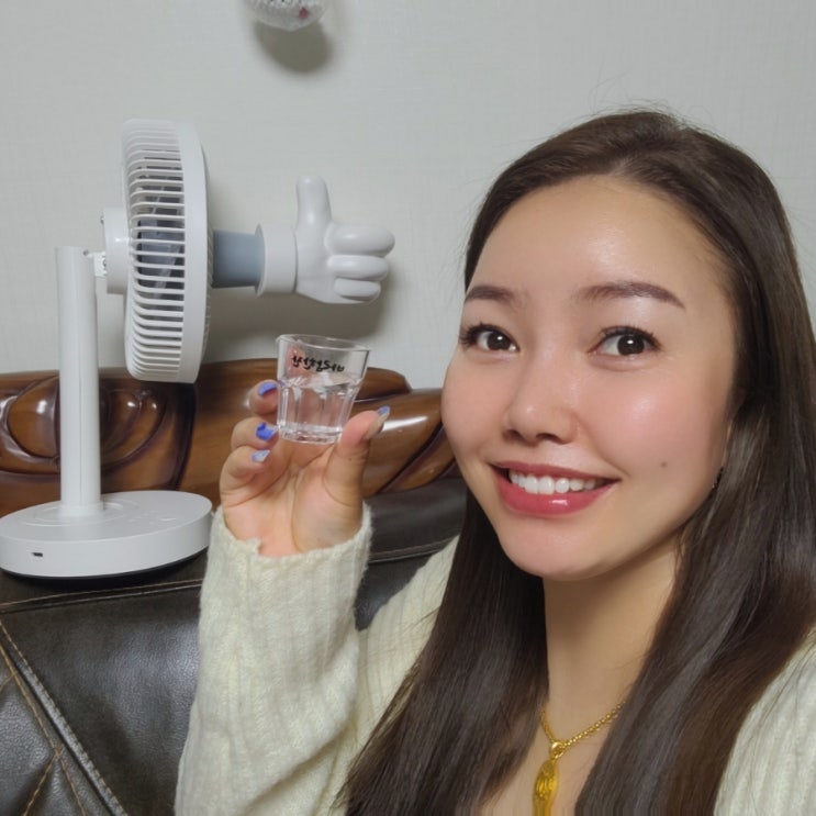  혼술선풍기 판다지아 바람한잔