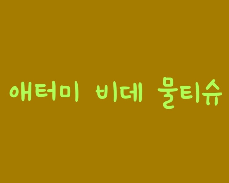  화장실 나올 때의 개운함, 애터미 비데 물티슈 추천