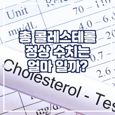  총 콜레스테롤 정상 수치는 몇일까?