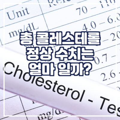 총 콜레스테롤 정상 수치는 몇일까?