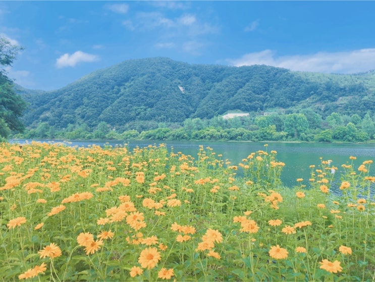  [블챌 주간일기]6월 둘째주 이야기(6.13-6.19)