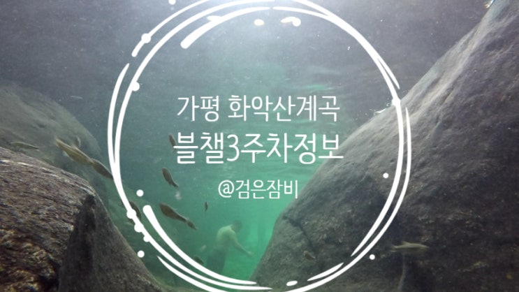  가평 넓은다락방 앞 숨겨진 서울근교계곡 화악산계곡 공유. 블챌 주간일기 3주차 투척정보~  약 2.2M 수심 깊은 계곡, 스노쿨링도 가능!!!