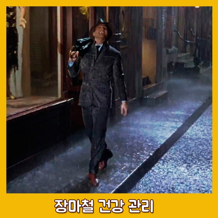  2022년 장마. 장마철 건강 관리. 장마철 조심해야 하는 것