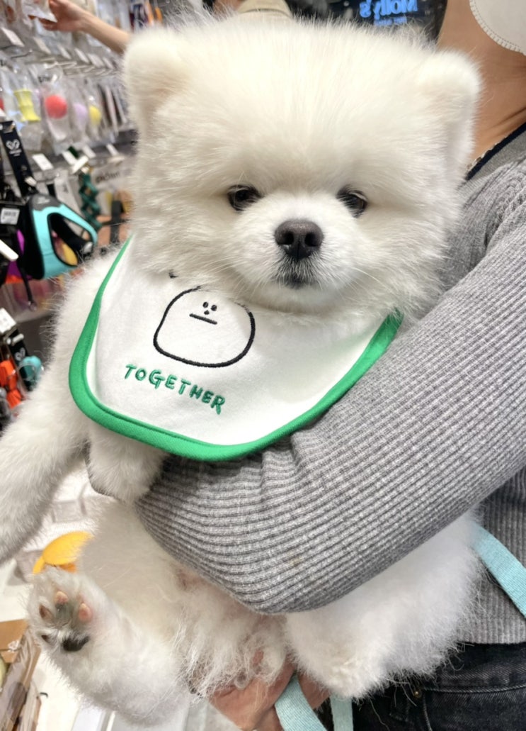  6월 둘째 주, 주간일기