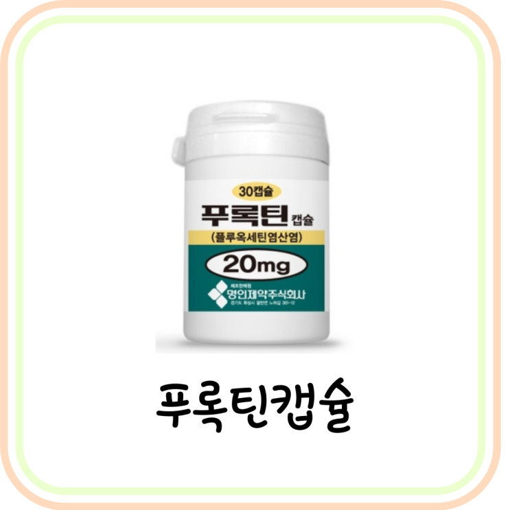  [우울증 약] 푸록틴캡슐 성분 및 효능 (플루옥세틴)