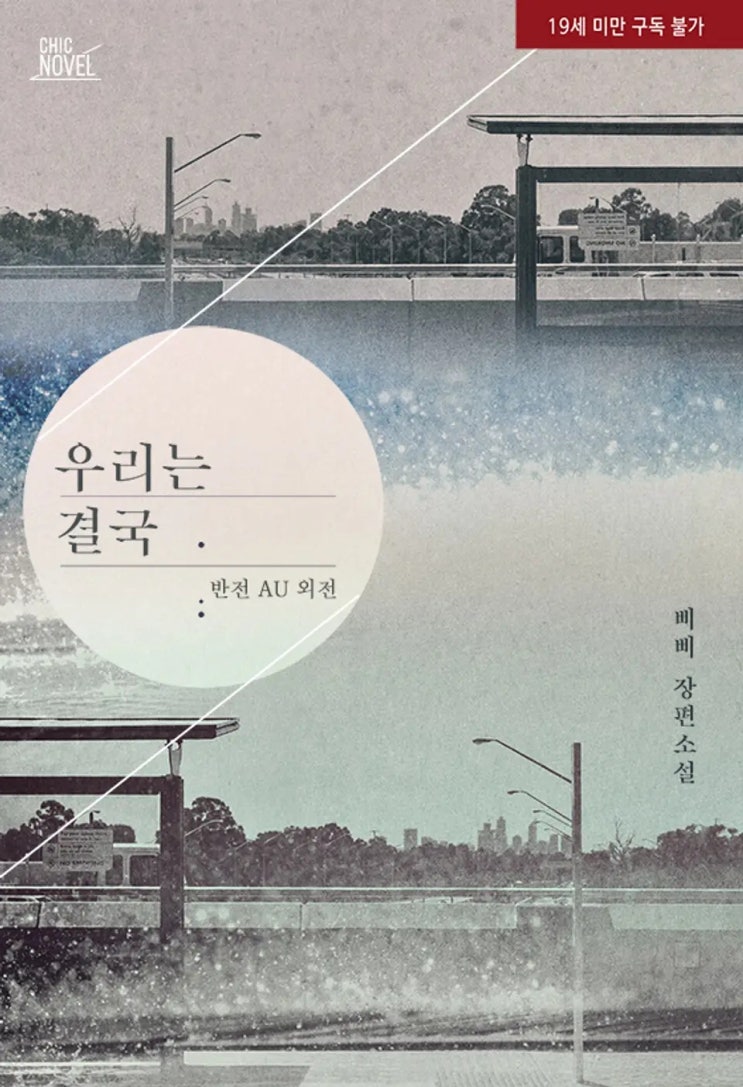 BL소설 리뷰) 삐삐-우리는 결국 (반전 AU 외전) BL소설 리뷰) 삐삐-우리는 결국 (반전 AU 외전)