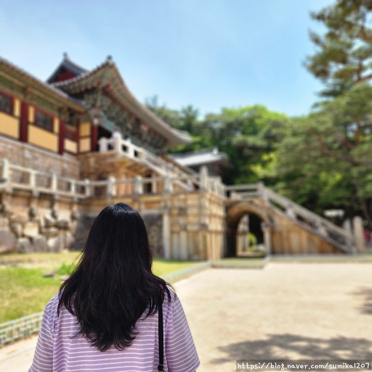 경주 가볼만한 곳, 불국사는 무조건 가야지! 경주 가볼만한 곳, 불국사는 무조건 가야지!