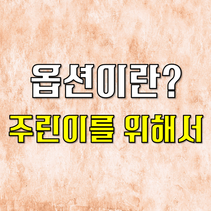  옵션뜻 주린이를 위해 쉽게 풀었습니다