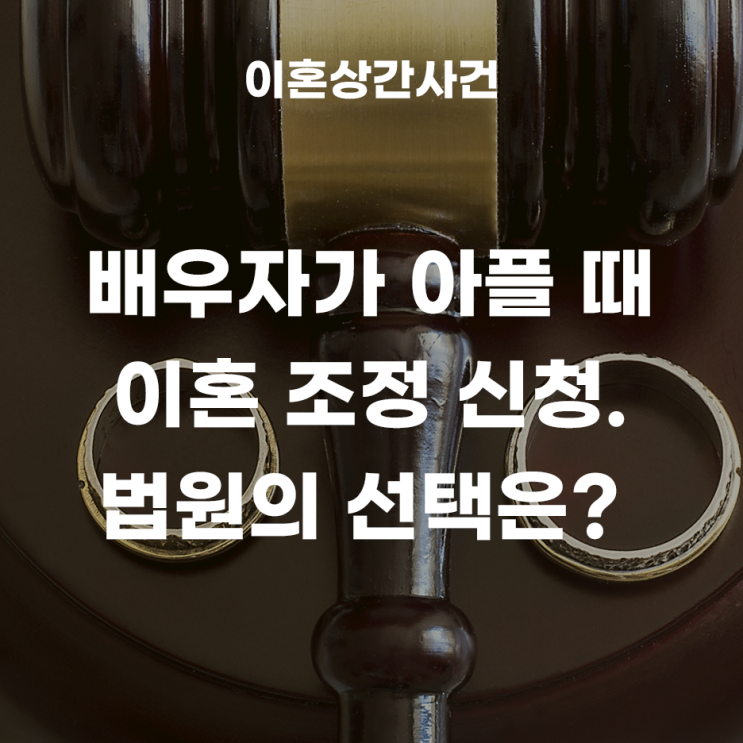  배우자가 아픈 경우, 이혼조정 신청. 법원은 어떤 선택을 ? (성년후견인 법정대리인)