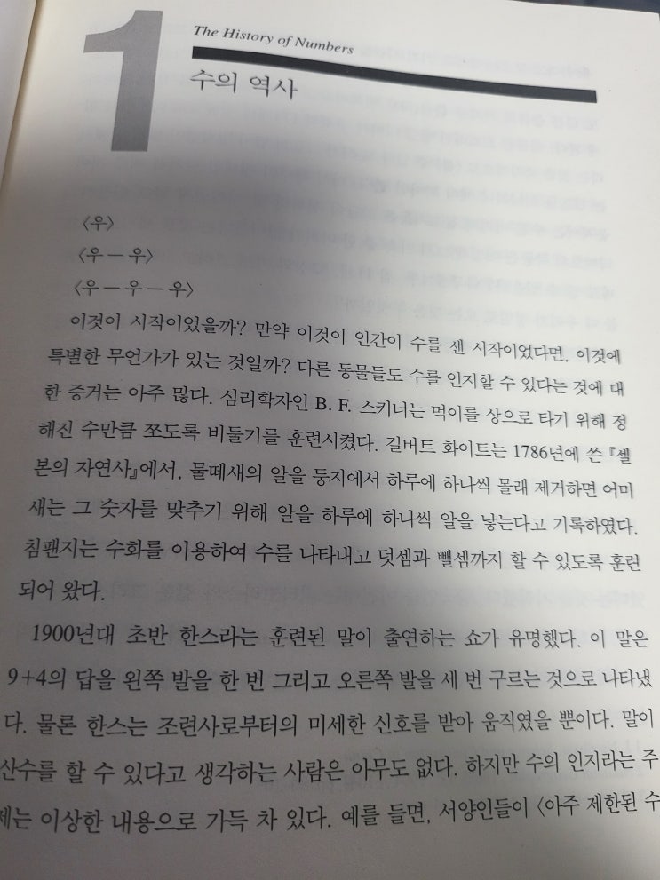 수의 신비주의 - 수비학