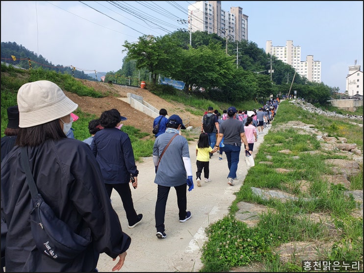  홍천 토리숲에서 열린 건강 달리기, 걷기 대회