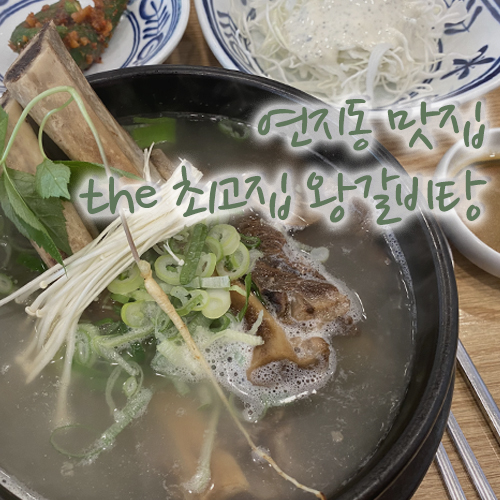  깔끔한 국물의 최고집 왕갈비탕! 부산 연지동 맛집이네요