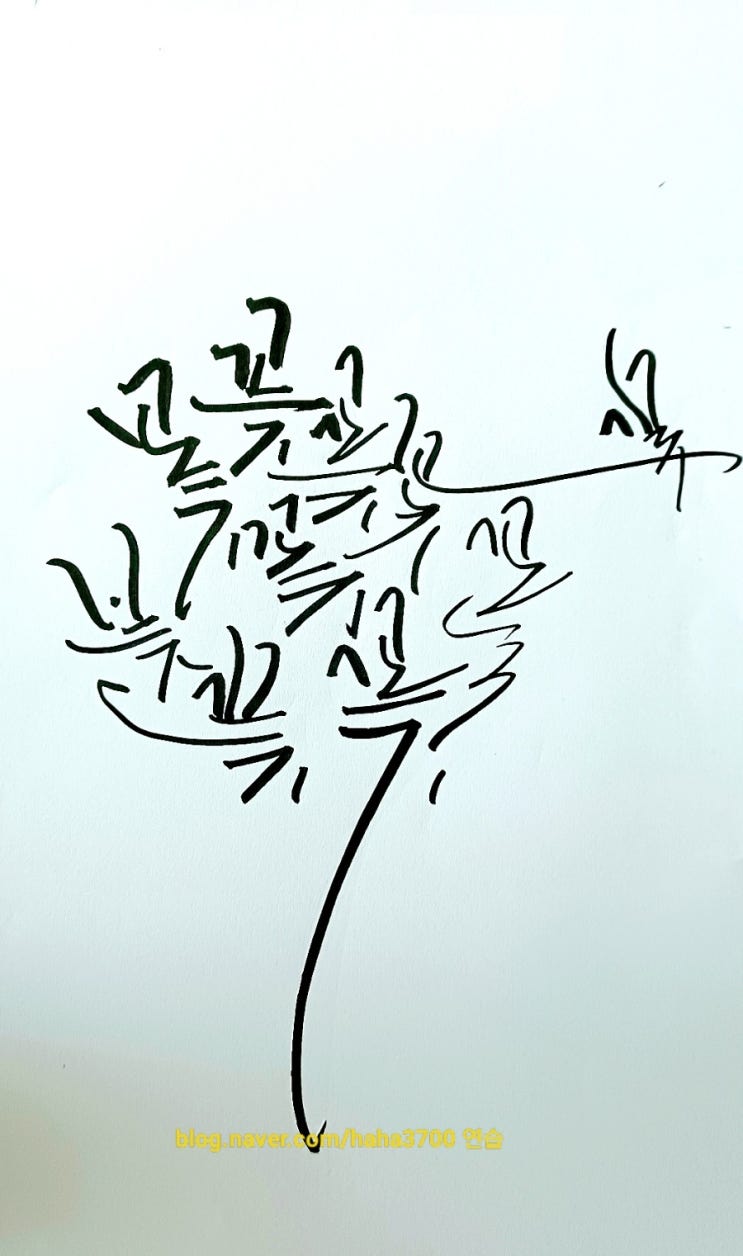  글쓰기 연습