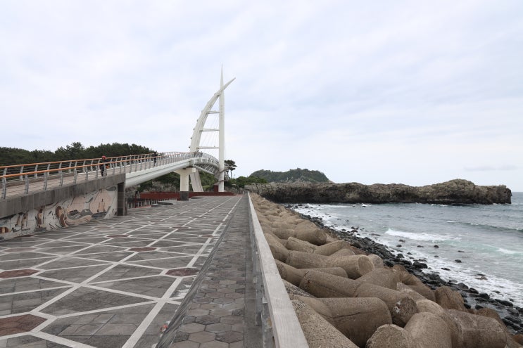  [제주도 새연교] 칠십리교에서 새연교를 건너 새섬까지 산책하기 (feat. 주차정보)