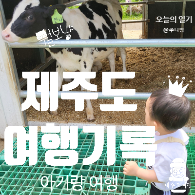  220531-220602 아기랑 제주도 여행 3 아침미소목장 햇살가득돌담집