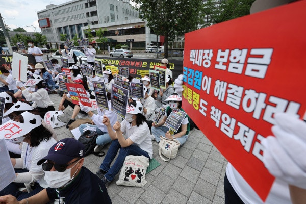 “백내장 보험금 못 줘”… ‘금감원 방패’ 내세워 지급 거부