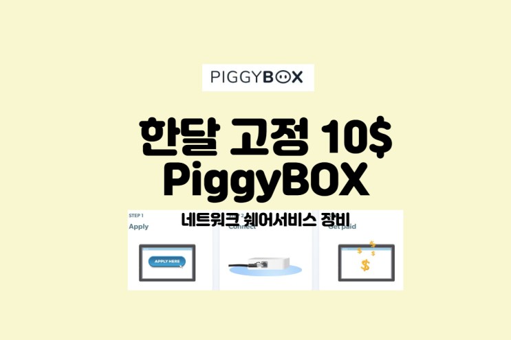 네트워크 공유장비 PiggyBox 매월 10$ 고정수입