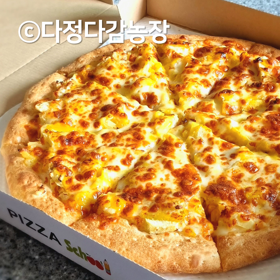 피자스쿨 충북영동점 사진 3