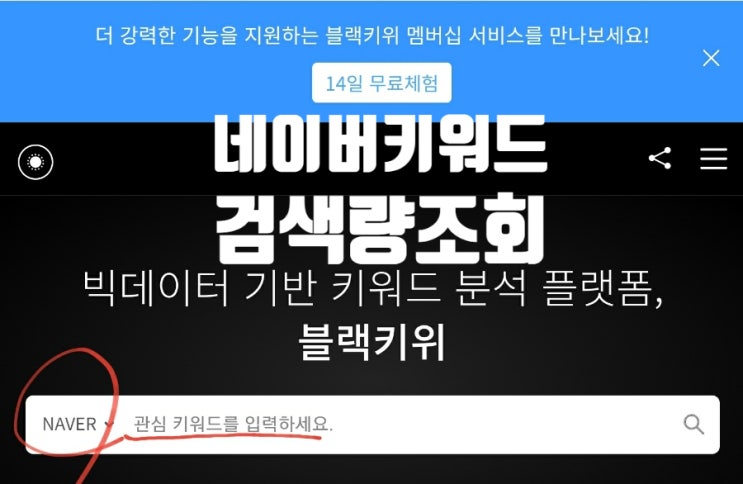  네이버 키워드 검색량 조회를 통한 블로그 조회수 키우기