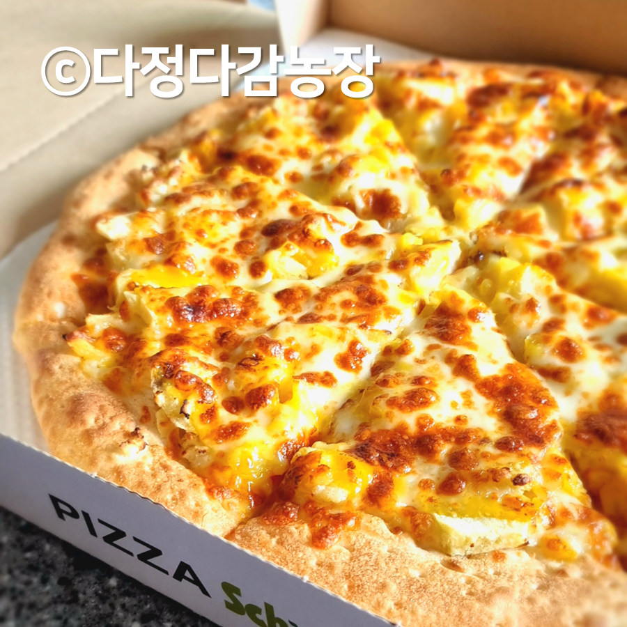 피자스쿨 충북영동점 사진 2