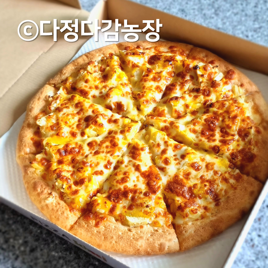 피자스쿨 충북영동점 사진 1