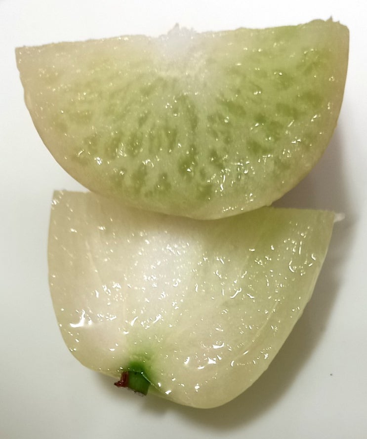  마켓컬리신상과일 자바애플 토마토도 아니고  서양배도 아니고