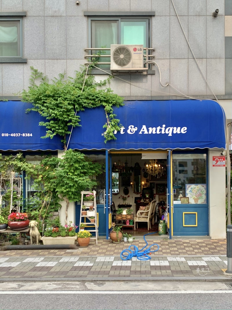 신박한 완충제 아이템 리뷰 및 홈 인테리어 꾸미기, image size:800x1067