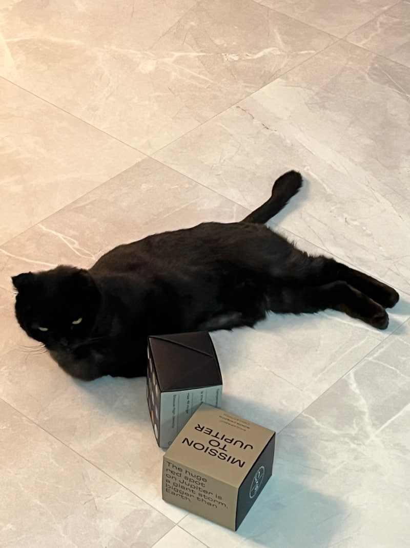 쩡초이 (@jje0ngart) • Instagram photos and videos, image size:800x1067