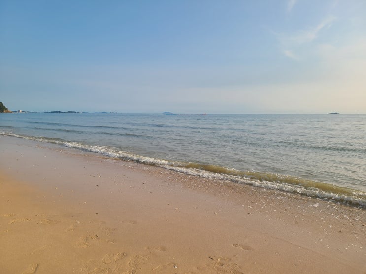  [주간일기챌린지]22.6.21 여름 시작. 가짜 장마