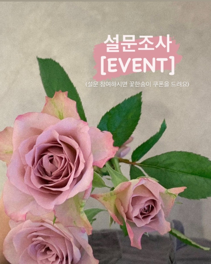  [꼬테] 설문 이벤트