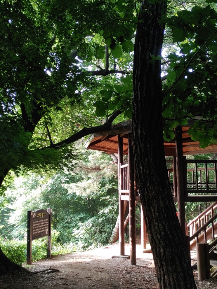 하지인 오늘, 햇살과 어우러진 설봉산의 모습들 하지인 오늘, 햇살과 어우러진 설봉산의 모습들