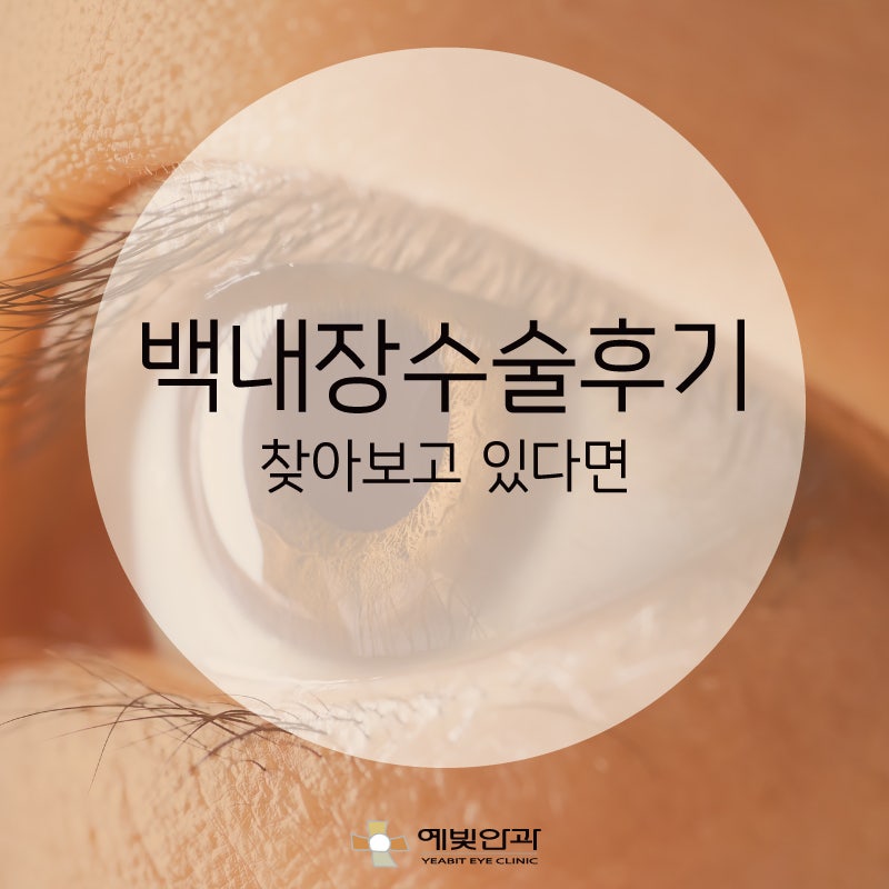 강아지 백내장 초기 1~4기 단계, 핵경화 구분, 원인, 검사 총정리(f. 수의안과 석사)