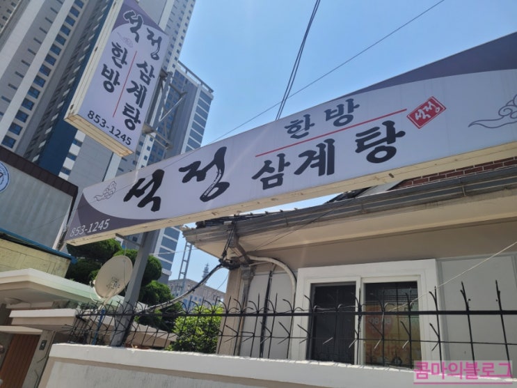  [부산 맛집] 시청 '석정삼계탕'