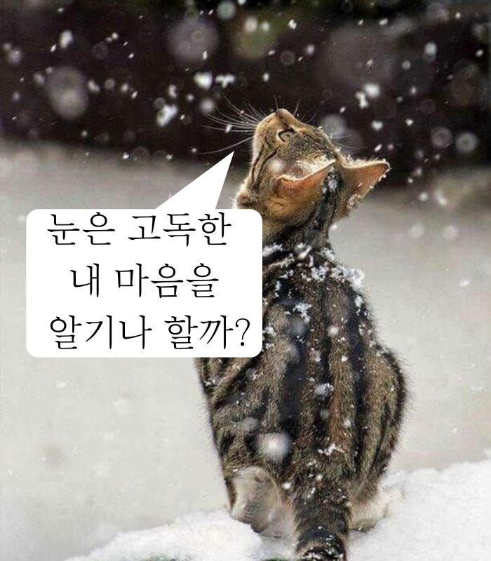 [교훈 글귀.명언] 칼릴 지브란 명언 2개