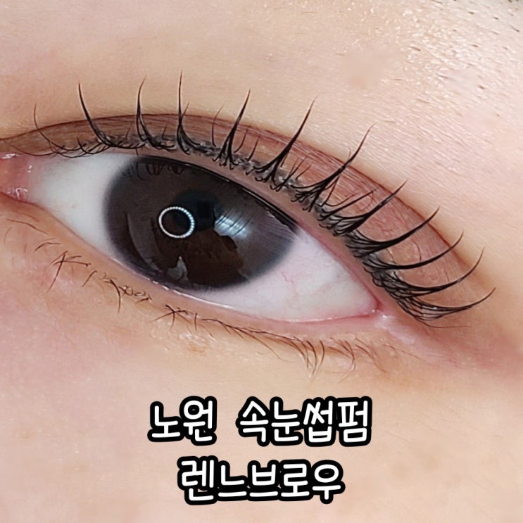  노원 속눈썹펌 렌느브로우 :  자극없는 속눈썹펌 전문