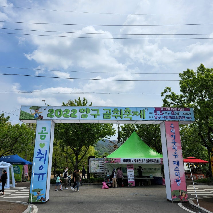  곰취를 비롯한 양구 특산물을 즐길 수 있는, 양구곰취축제