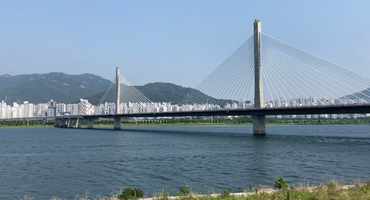  김해 식물원카페 알베로 초록초록 예뻐(내돈내산)