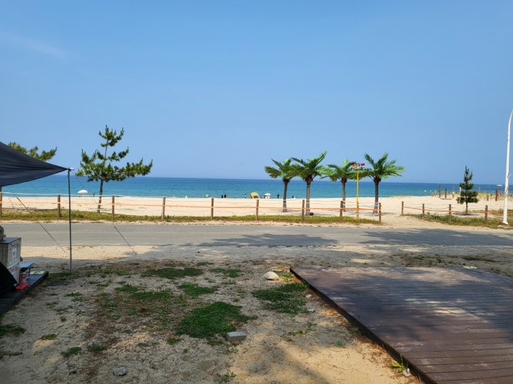  강원도 양양 오토캠핑장, 북분 솔밭캠핑장 리뷰  (명당 추천, 주차, 매점)