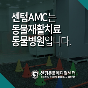 센텀동물메디컬센터는 부산 강아지 고양이 동물재활치료 동물병원입니다 / 24시 연산점