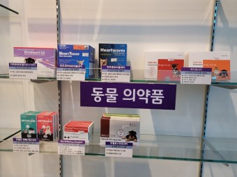  소화불량 치료제