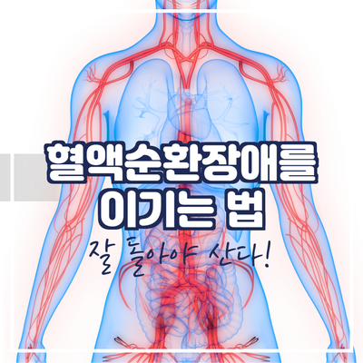  잘 돌아야 산다 _ 혈액순환장애를 이기는 법