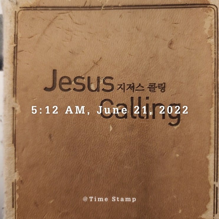  [감사일기]#503 감사할 수밖에 없는 이유