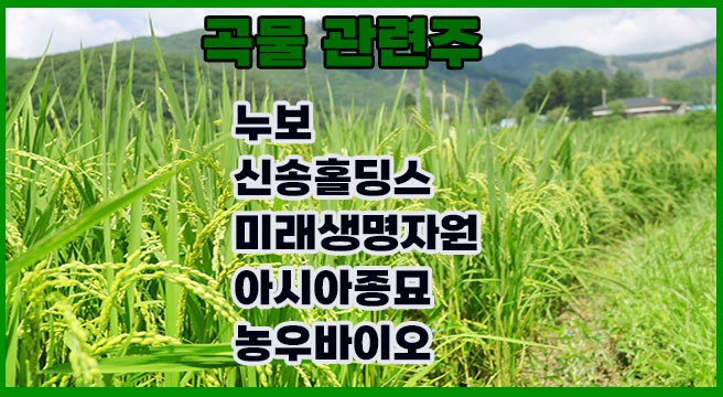 곡물 관련주, 누보 주가,우크라이나 전쟁과 가공식품 물가상승 연관