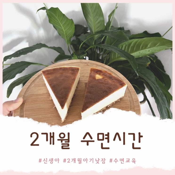  <생후 2개월 아기 발달> 수면 시간 낮잠, 밤잠 패턴